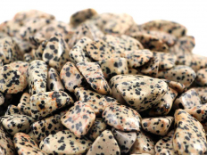 Dalmatian Tumbled Stones - 1 lb