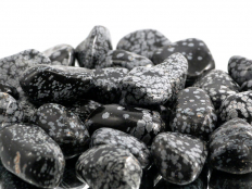 Snowflake Obsidian Tumbled Stones - 1 lb