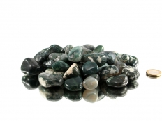 Moss Agate Tumbled Stones - 1 lb